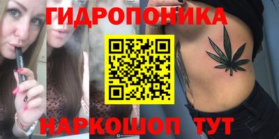 гидропоника Гагарин